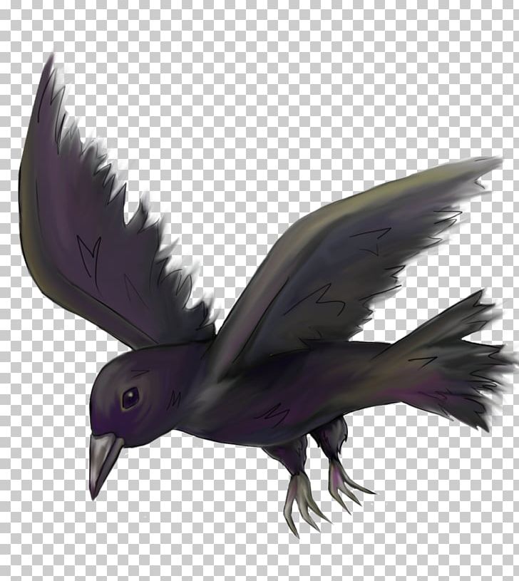 Bird Drawing Common Raven Pencil PNG, Clipart, Animal, Animals, Art, Beak, Bird Free PNG Download