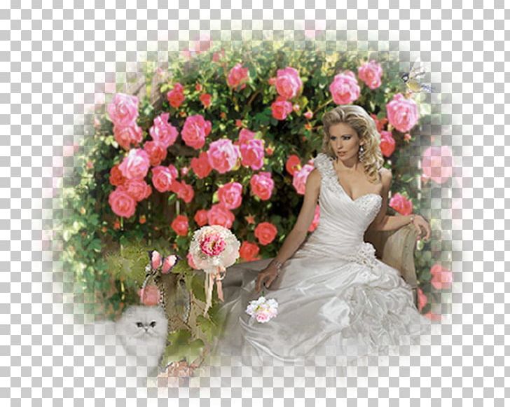 Garden Roses Buchete.ro Cut Flowers Floral Design PNG, Clipart, Annual Plant, Artificial Flower, Buchetero, Carnation, Cut Flowers Free PNG Download