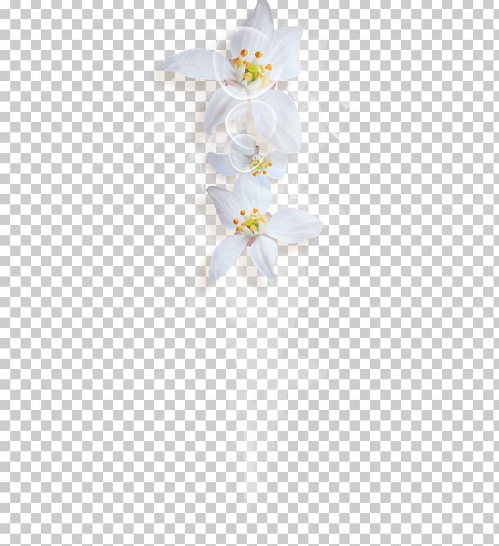 Moth Orchids Cut Flowers Floral Design PNG, Clipart, Art, Cut Flowers, Design Design, Divider, Floral Design Free PNG Download