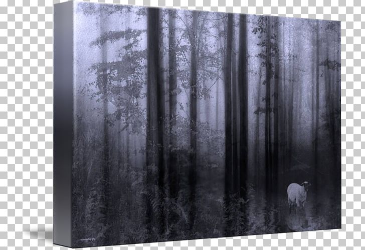 Wood /m/083vt White Rectangle PNG, Clipart, Black And White, Forest, Glass, Innocence, M083vt Free PNG Download