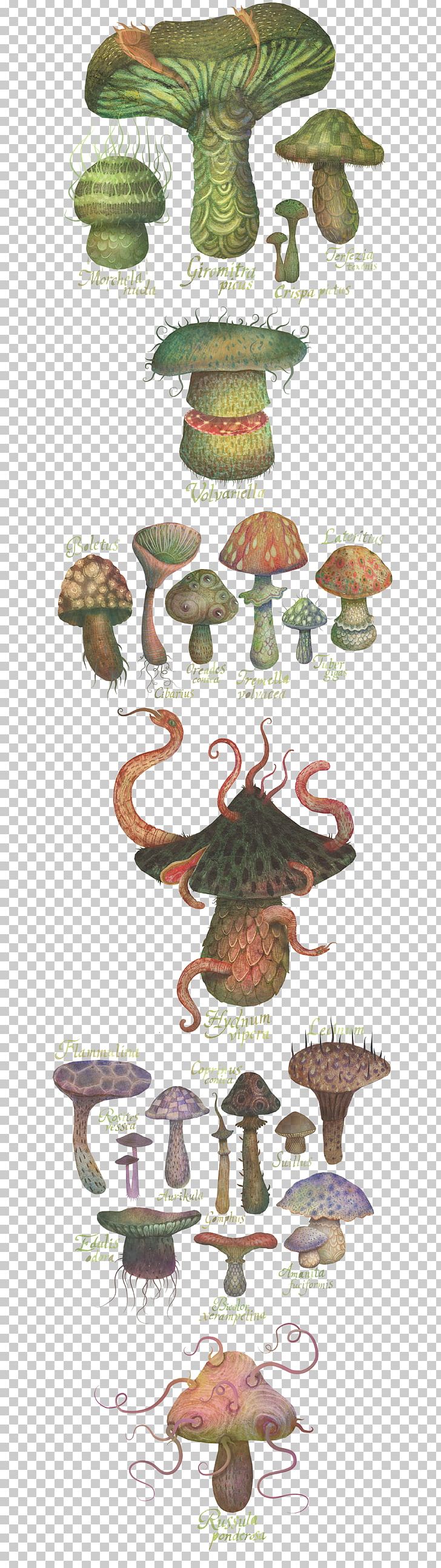 Drawing Botanical Illustration The Fungus Kingdom PNG, Clipart, Art, Artistic Rendering, Botanical Illustration, Botany, Drawing Free PNG Download