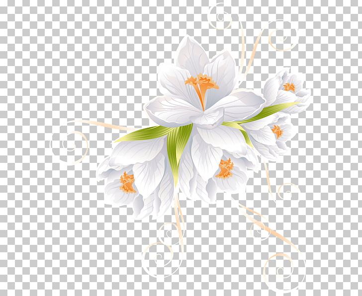 Flower White Lilium PNG, Clipart, Blue, Computer Wallpaper, Flora, Floral Design, Floristry Free PNG Download