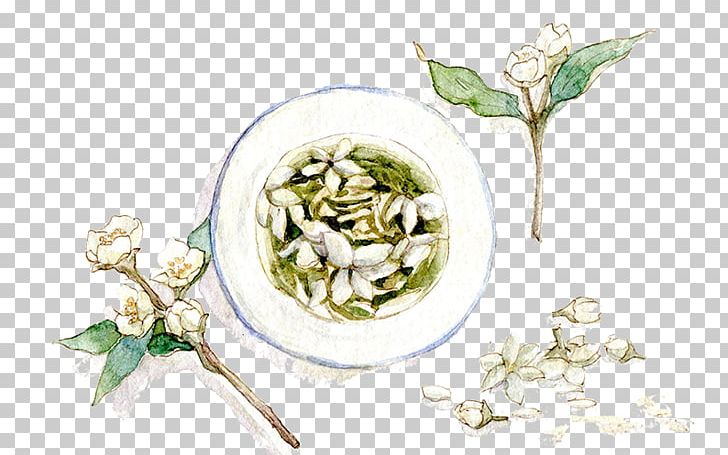 Flowering Tea Arabian Jasmine Jasmine Tea PNG, Clipart, Afternoon Tea, Download, Encapsulated Postscript, Euclidean Vector, Flower Free PNG Download