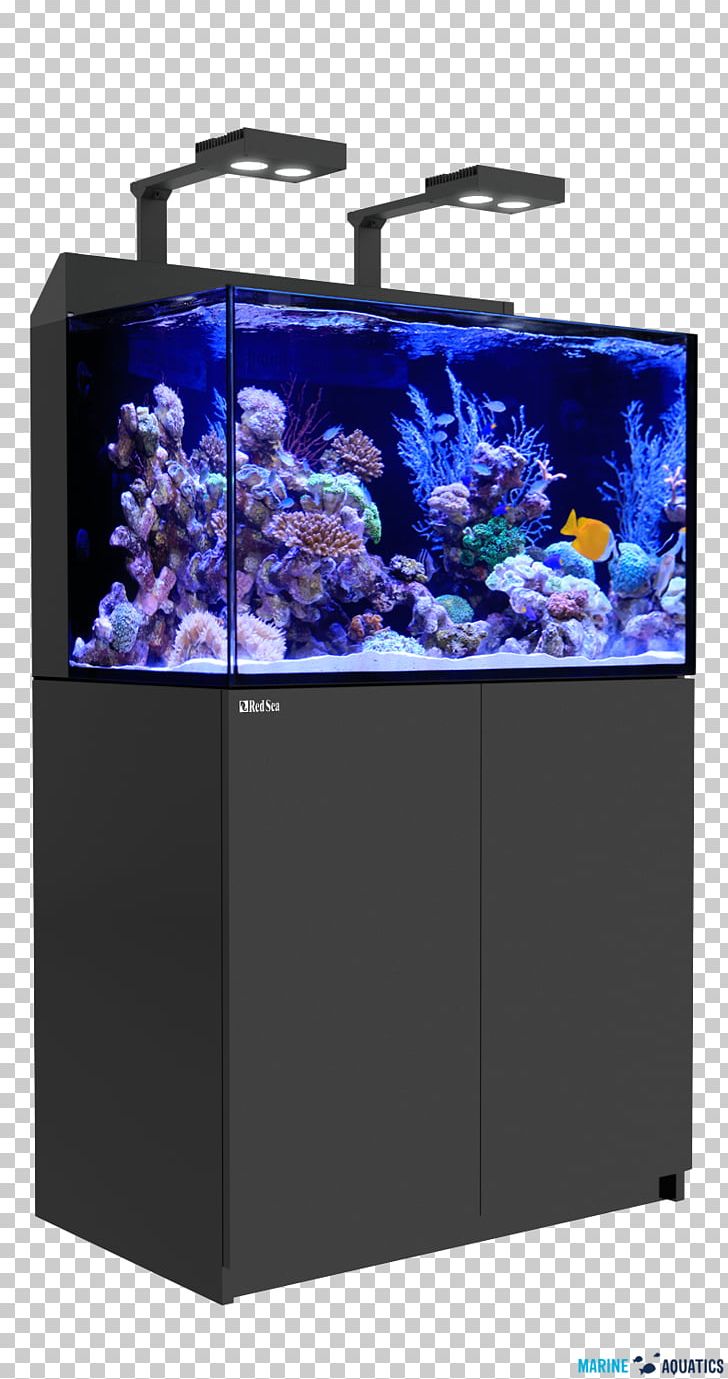Reef Aquarium Red Sea Coral Reef Protein Skimmer PNG, Clipart, Aquarium, Aquarium Lighting, Art, Coral, Coral Reef Free PNG Download