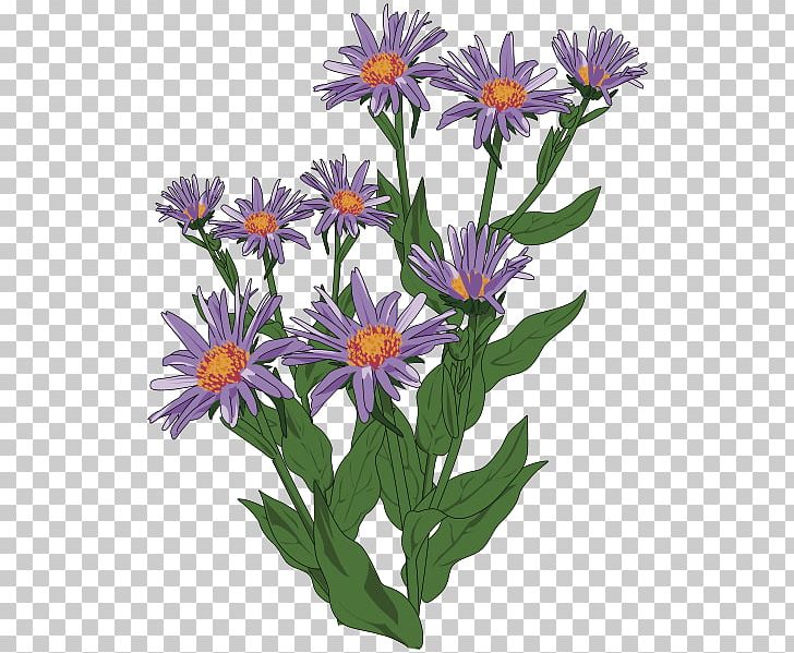 Aster Pyrenaeus PNG, Clipart, Annual Plant, Aster, Aster Pyrenaeus, Computer Icons, Daisy Free PNG Download