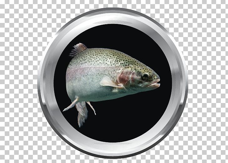 Fish Rainbow Trout Brown Trout PNG, Clipart, Animals, Brown Trout, Fauna, Fish, Food Free PNG Download