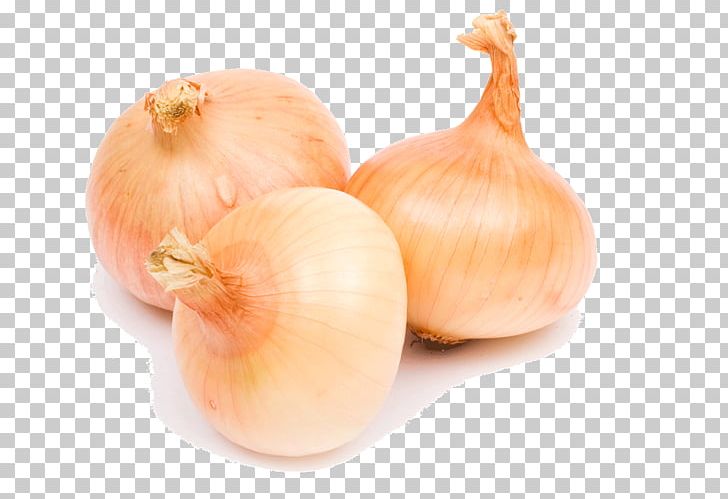 Garlic Vegetable Food PNG, Clipart, Ajoajo, Cartoon Garlic, Chili Garlic, Designer, Download Free PNG Download