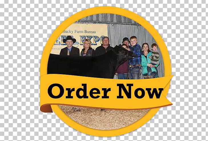 Golden Flo Car Dealership Customer Service Taylorville PNG, Clipart, Alabama, Animal, Arizona, California, Car Dealership Free PNG Download