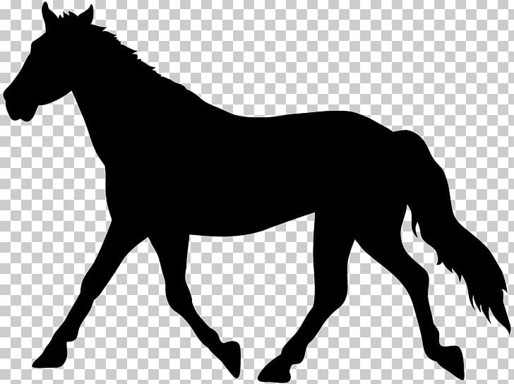 Horse PNG, Clipart, Animals, Black And White, Bridle, Cartoon Horse, Clipping Path Free PNG Download