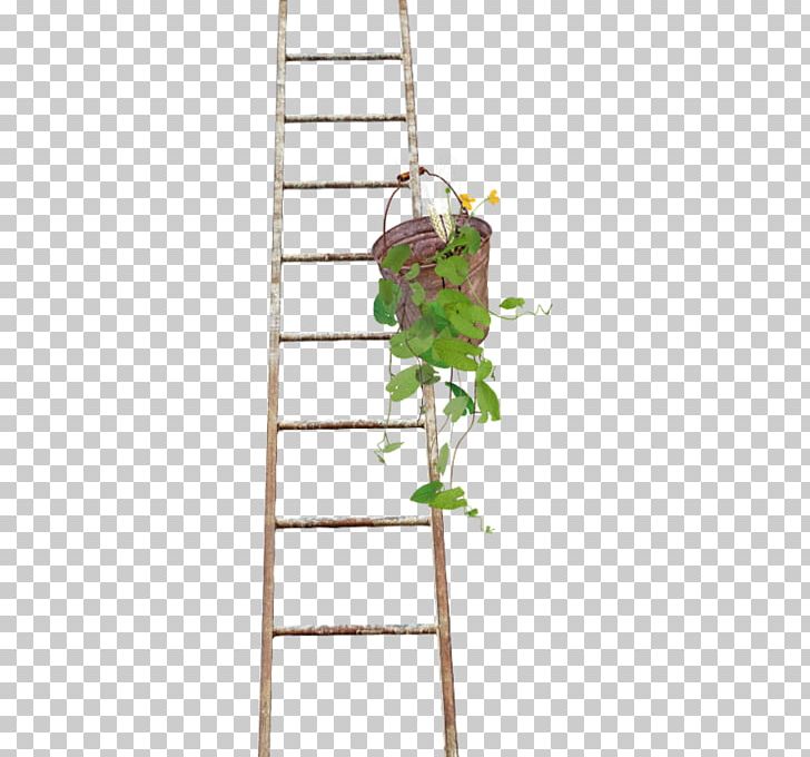 Ladder Wood Stairs Paper PNG, Clipart, Angle, Branch, Bucket, Download, Escalator Free PNG Download