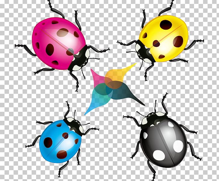 Ladybird PNG, Clipart, Adobe Illustrator, Artwork, Beetle, Cartoon, Cmyk Color Model Free PNG Download