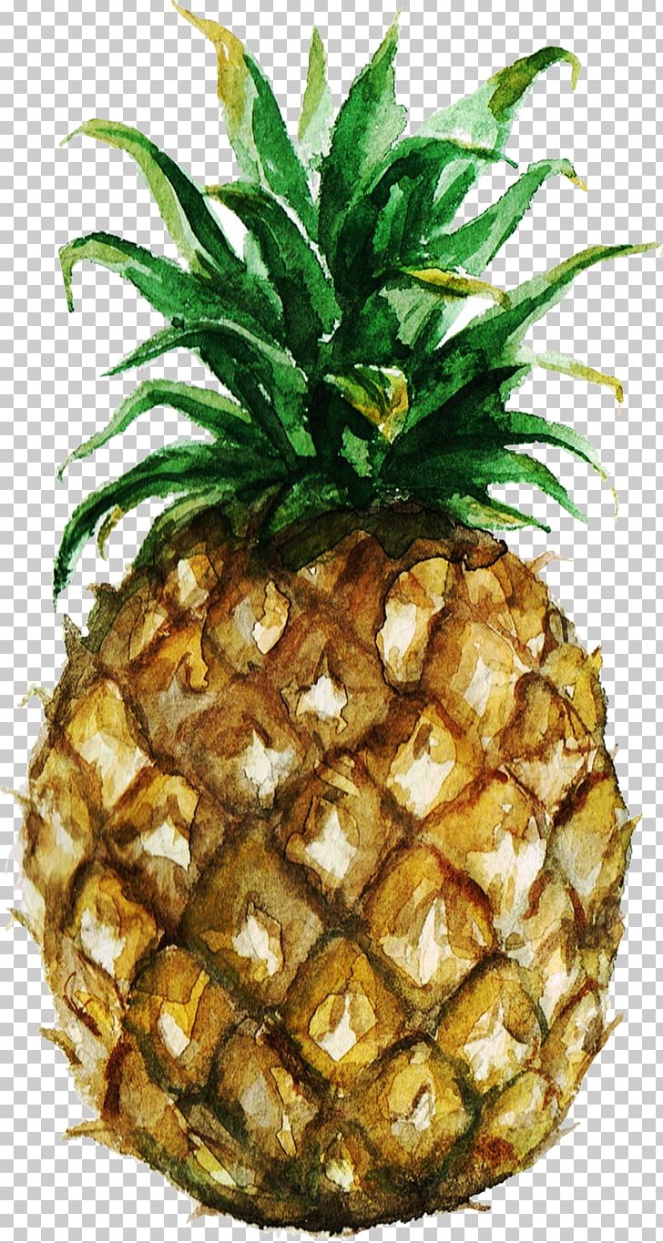 Pineapple Watercolor Painting Stock Photography PNG, Clipart, Ananas, Art, Bromeliaceae, Depositphotos, Drawing Free PNG Download