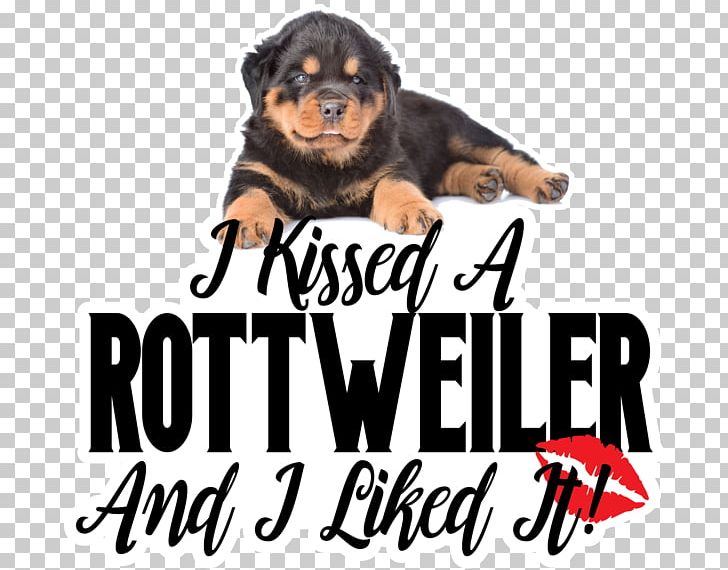 Rottweiler Dog Breed Puppy Kitten Snout PNG, Clipart, Animals, Best Friend, Brand, Breed, Camera Free PNG Download