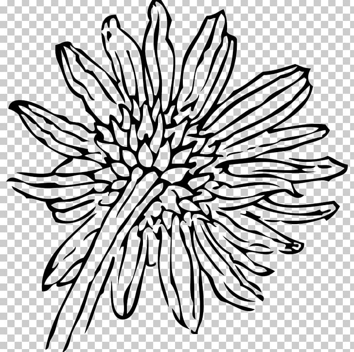 Drawing Common Sunflower PNG, Clipart, Artwork, Black, Black And White, Chrysanths, Circle Free PNG Download