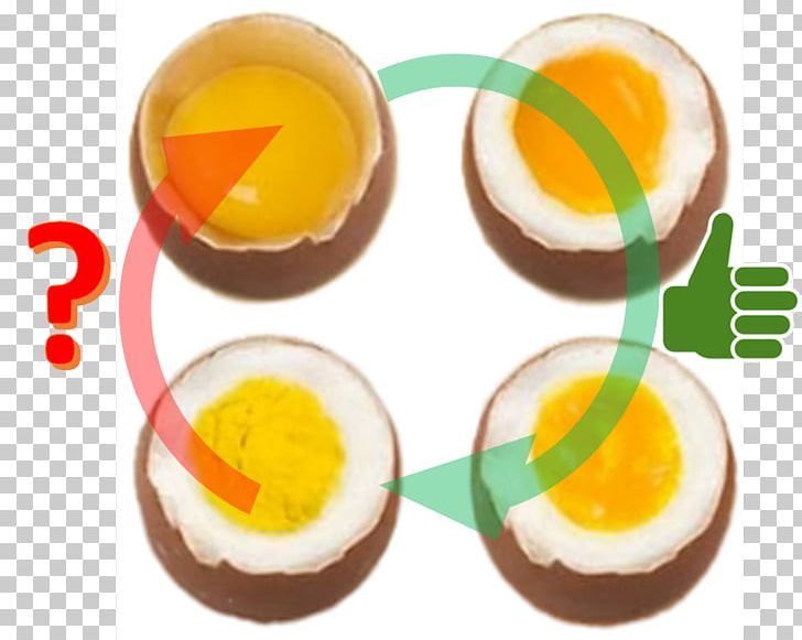 Egg Denaturation Breakfast Protein Ovalbumin PNG, Clipart, Albumin, Amino Acid, Breakfast, Chemistry, Denaturation Free PNG Download