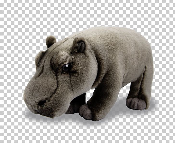 The Hippopotamus Pygmy Hippopotamus African Elephant PNG, Clipart, Adoption, Africa, Animal, Animals, Bear Free PNG Download