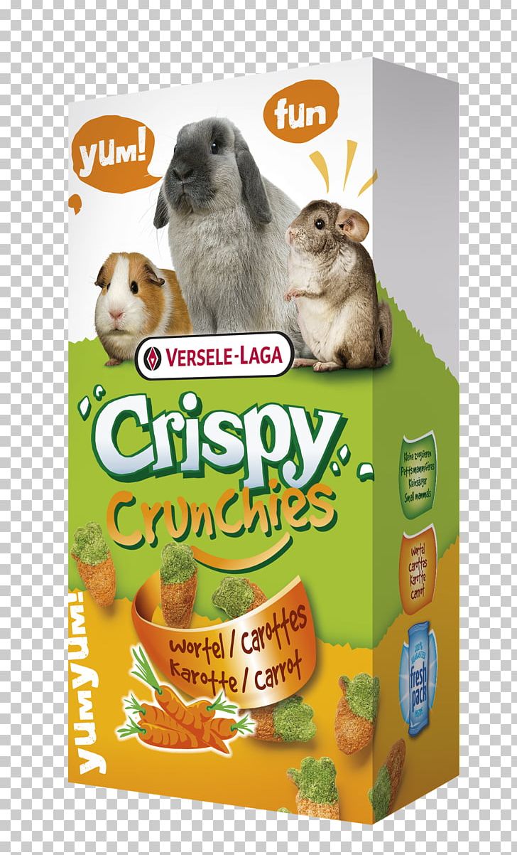 Rodent Rat Guinea Pig Chinchilla Hamster PNG, Clipart, Advertising, Animals, Carrot, Chinchilla, European Rabbit Free PNG Download