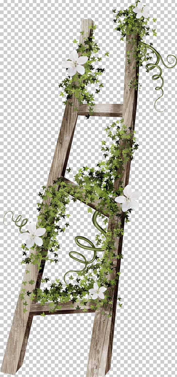 Stairs Ladder Wood PNG, Clipart, Branch, Download, Encapsulated Postscript, Flora, Floral Design Free PNG Download