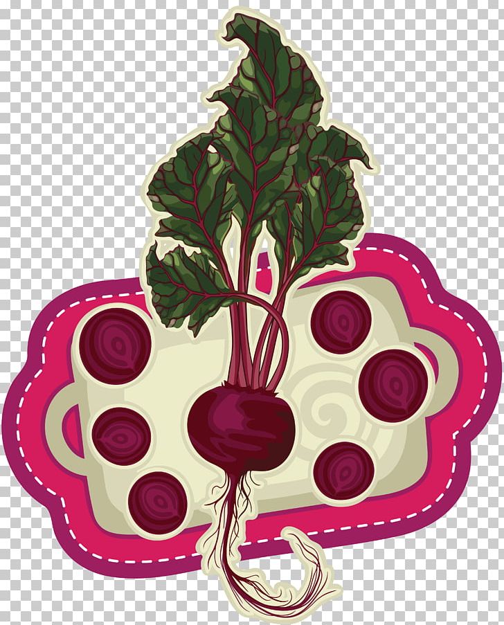 Vegetable Drawing Cartoon PNG, Clipart, Animation, Beet, Carrot, Cartoon, Dish Free PNG Download