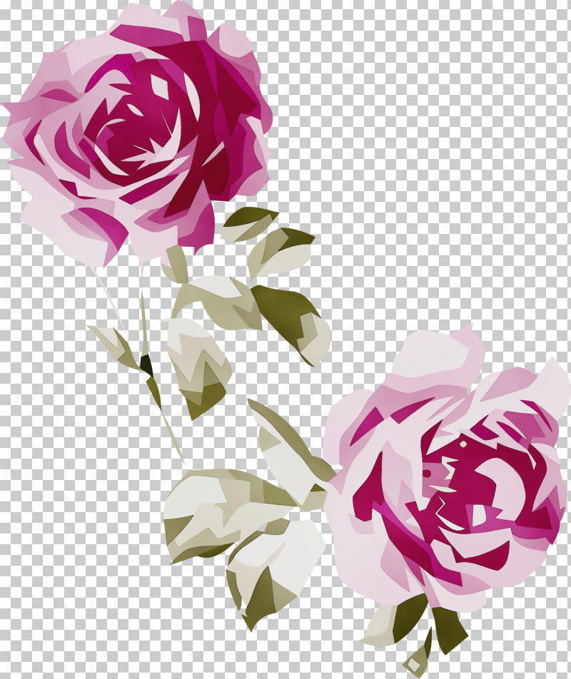 Floral Design PNG, Clipart, Cabbage Rose, Cut Flowers, Floral Design, Flower, Flower Bouquet Free PNG Download