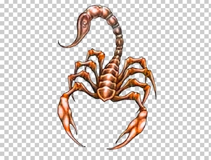 Abziehtattoo Scorpion Flash Polynesia PNG, Clipart, Abziehtattoo, Animal Source Foods, Arthropod, Body Jewelry, Body Piercing Free PNG Download