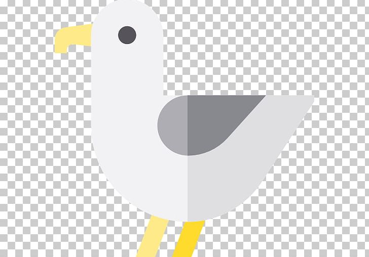 Bird Gulls Computer Icons Animal PNG, Clipart, Angle, Animal, Animals, Beak, Bird Free PNG Download