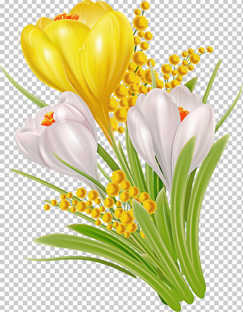 Floral Design PNG, Clipart, Crocus M, Cut Flowers, Floral Design, Flower, Flower Bouquet Free PNG Download