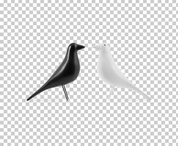 Beak PNG, Clipart, Beak, Bird, Charles And Ray Eames Free PNG Download