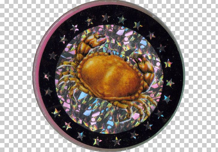 Decapods Abalone PNG, Clipart, Abalone, Animal Source Foods, Decapoda, Dishware, Invertebrate Free PNG Download