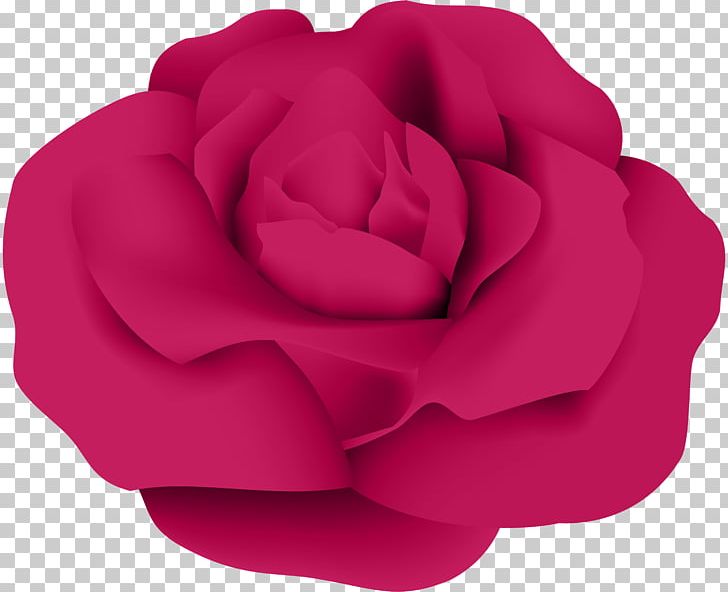 Garden Roses Centifolia Roses PNG, Clipart, Blue, Centifolia Roses, Clip Art, Clipart, Dark Pink Free PNG Download