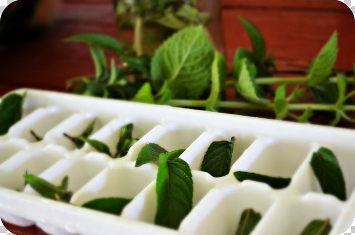 Green Tea Iced Tea Vegetarian Cuisine Peppermint PNG, Clipart, Appetizer, Asian Food, Beyaz Peynir, Cuisine, Dish Free PNG Download