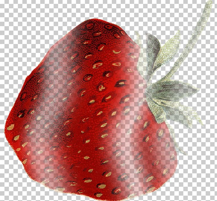 Strawberry PNG, Clipart, Fruit, Fruit Nut, Plant, Red, Strawberries Free PNG Download
