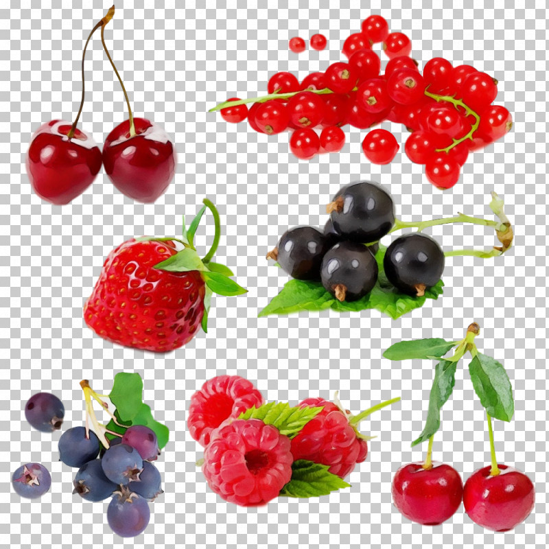 Natural Foods Berry Fruit Cherry Frutti Di Bosco PNG, Clipart, Accessory Fruit, Berry, Cherry, Food, Fruit Free PNG Download