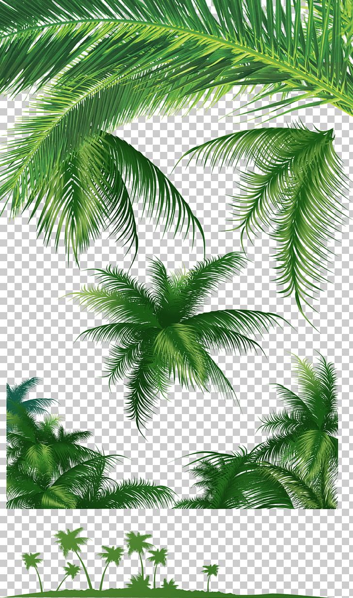 Leaf Arecaceae Tree Coconut PNG, Clipart, Arecales, Autumn Leaves, Banana Leaves, Branch, Encapsulated Postscript Free PNG Download