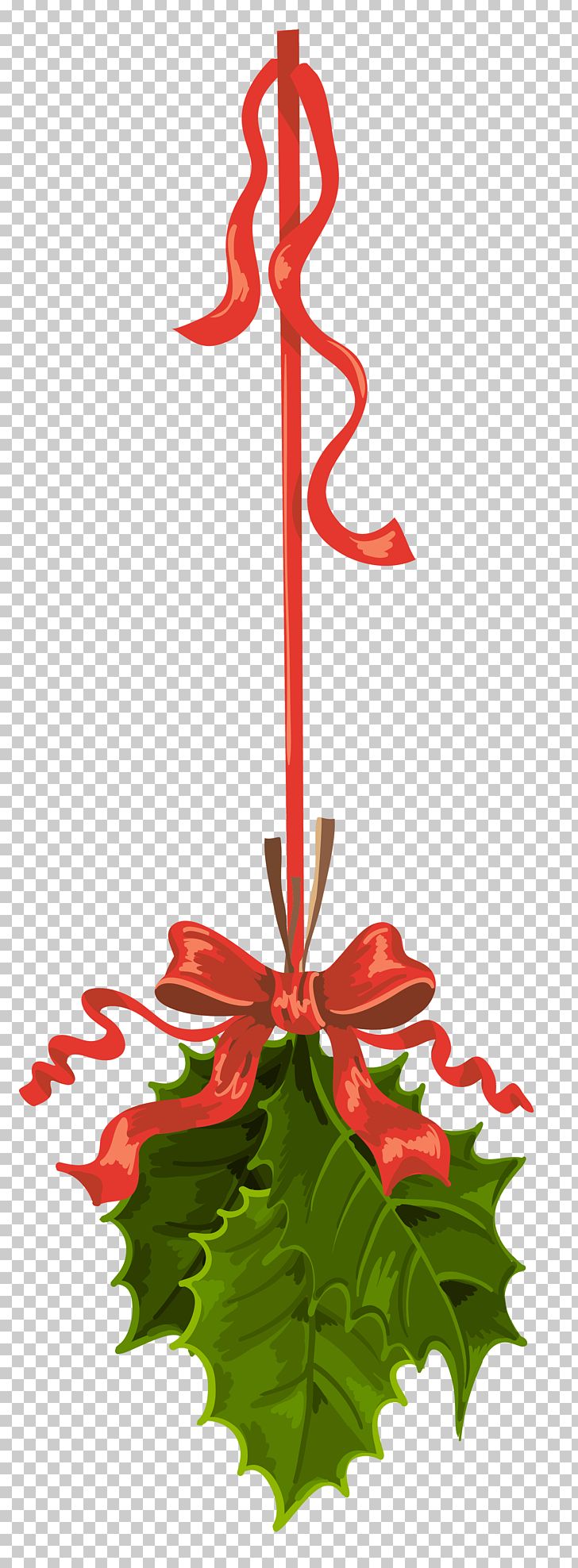 Mistletoe Christmas PNG, Clipart, Aquifoliaceae, Branch, Christmas Clipart, Christmas Decoration, Christmas Mistletoe Free PNG Download