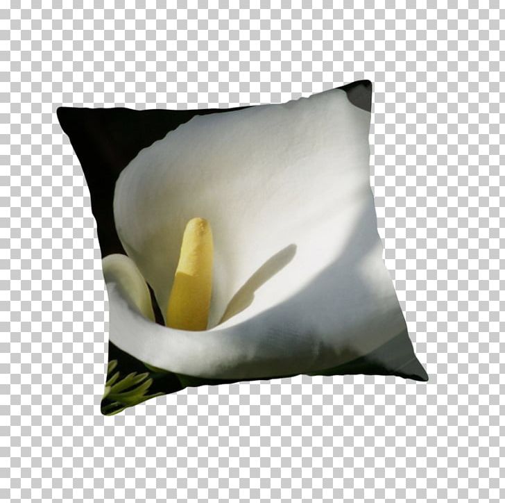 Throw Pillows Cushion Flower Petal PNG, Clipart, Callalily, Cushion, Flower, Funeral, Furniture Free PNG Download