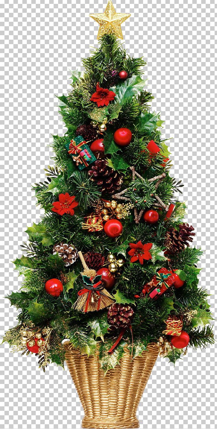 New Year Tree PNG, Clipart, Christmas, Christmas Decoration, Christmas Ornament, Christmas Tree, Conifer Free PNG Download