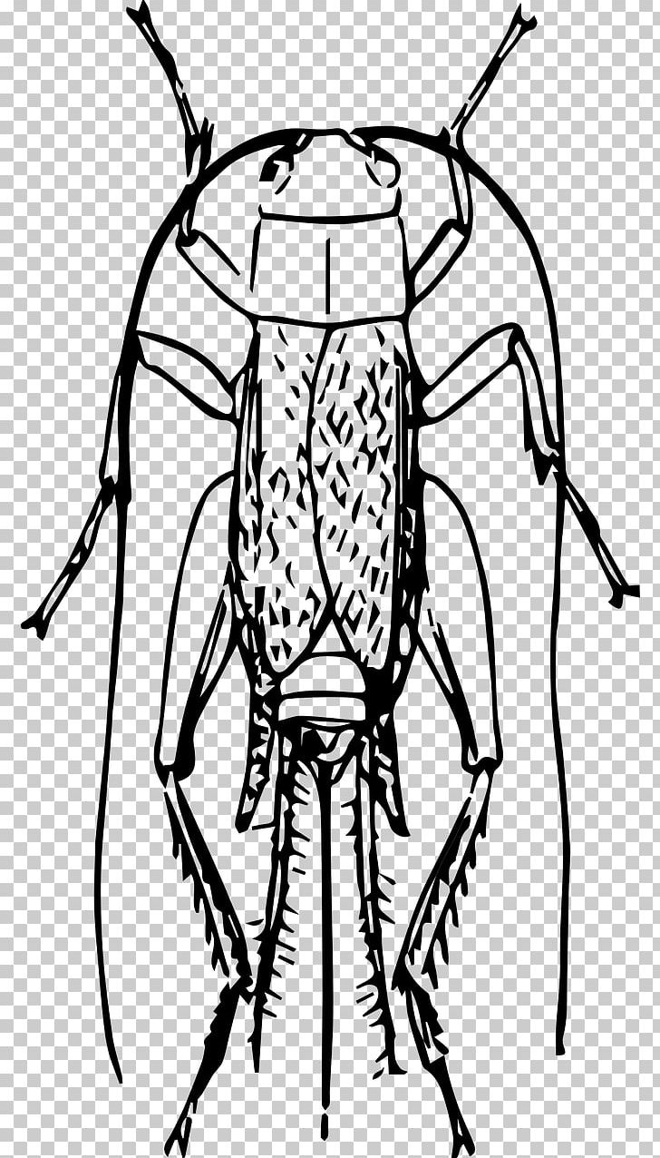 Insect Pharmore Pest Control Drawing PNG, Clipart, Animals, Artwork, Black And White, Bug, Cricket Free PNG Download