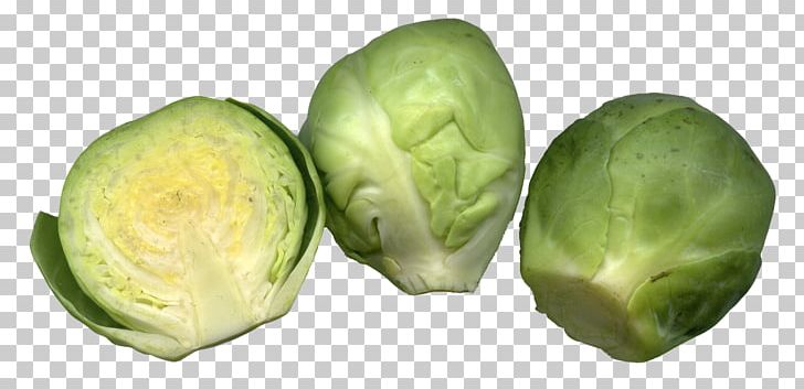 Brussels Sprouts Cruciferous Vegetables Cabbage PNG, Clipart, Bok Choy, Broccoli, Brussels, Brussels Sprout, Brussels Sprouts Free PNG Download