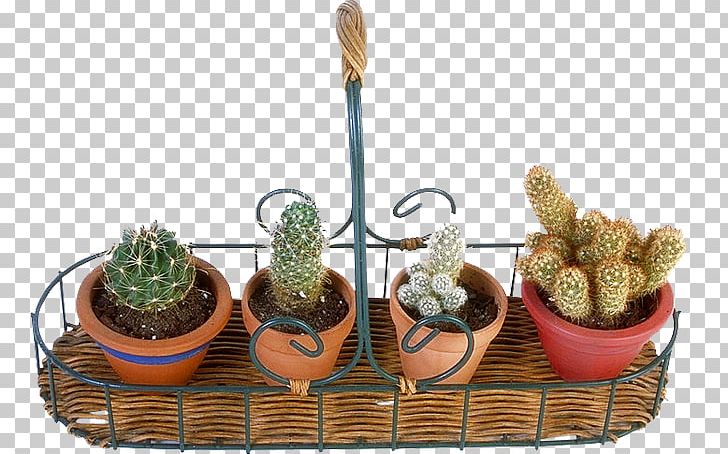 Cactaceae Flowerpot Balcony Veranda PNG, Clipart, Balcony, Cactaceae, Cactus, Caryophyllales, Designer Free PNG Download