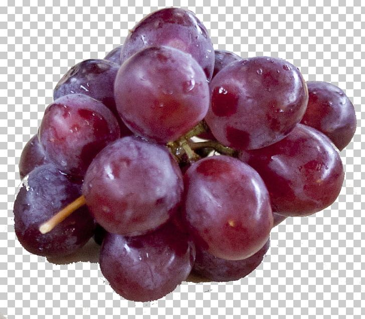 Concord Grape Seedless Fruit Zante Currant Food PNG, Clipart, Berry, Boysenberry, Concord Grape, Cup, Food Free PNG Download