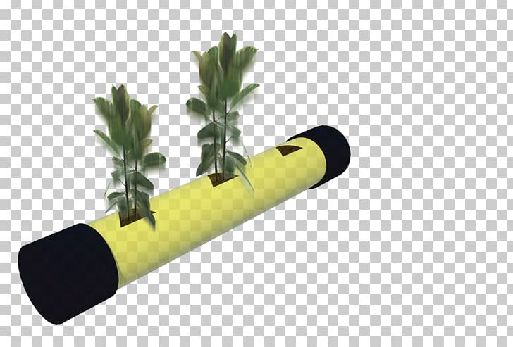 Cylinder PNG, Clipart, Art, Cylinder, Grass, Plant Free PNG Download