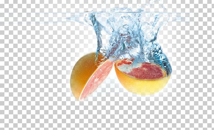 Grapefruit Water PNG, Clipart, Auglis, Creative Background, Drink, Dynamic, Essential Oil Free PNG Download