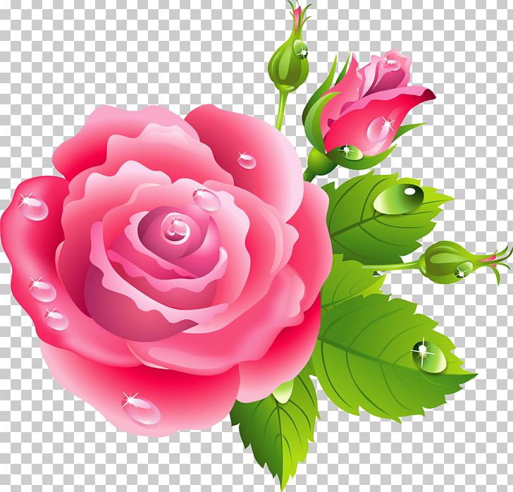 Rose Pink Flowers Drawing PNG, Clipart, Annual Plant, Artificial Flower, China Rose, Decoupage, Encapsulated Postscript Free PNG Download