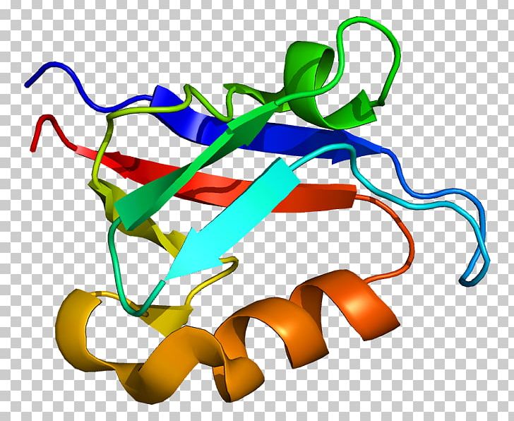 Signal Transducing Adaptor Protein Amyloid Precursor Protein Protein Complex PDZ Domain PNG, Clipart, Amyloid, Amyloid Beta, Amyloid Precursor Protein, Apba2, Apba3 Free PNG Download