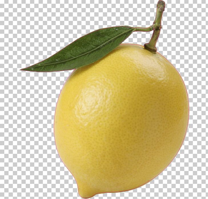Sweet Lemon Citron Persian Lime Meyer Lemon PNG, Clipart, Acid, Citric Acid, Citron, Citrus, Citrus Junos Free PNG Download