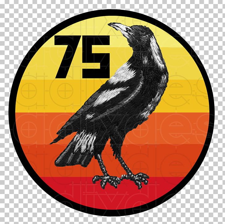 Beak PNG, Clipart, Beak, Bird, Fauna, No 75 Squadron Raaf, Others Free PNG Download