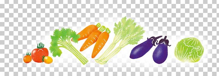 Diet Food Natural Foods Superfood PNG, Clipart, Carrot, Diet, Diet Food, Food, Fruit Free PNG Download