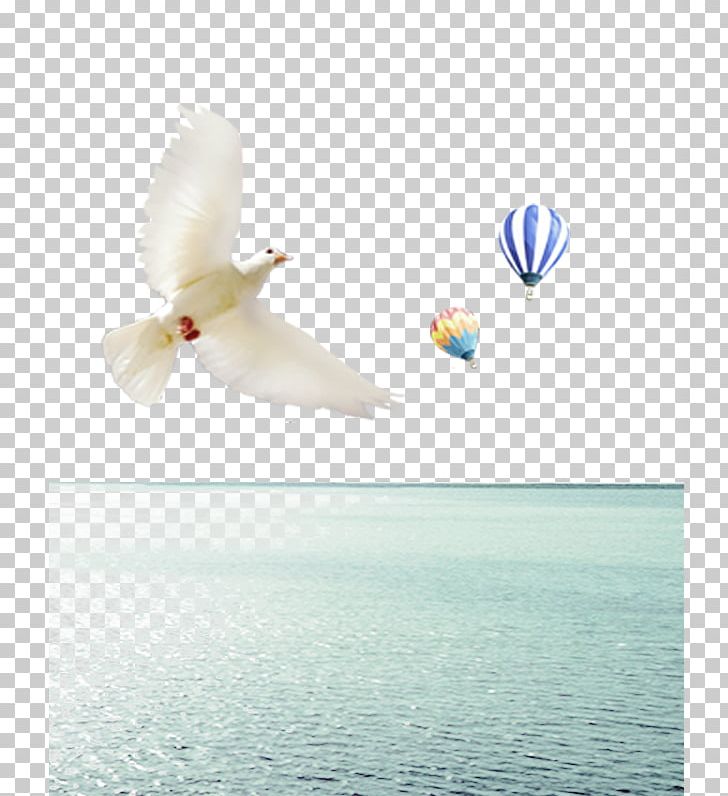 Sea Level PNG, Clipart, Air, Balloon, Beak, Bird, Computer Free PNG Download
