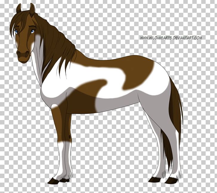 Mustang Stallion Foal Colt Mare PNG, Clipart, Bridle, Colt, Foal, Halter, Horse Free PNG Download